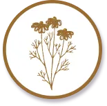 Private Group Packages: Private Group Packages: